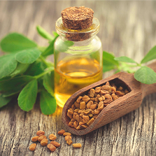 Ožragės trigonela ekstraktas - natūrali pagalba lipidų ir cukraus balansui