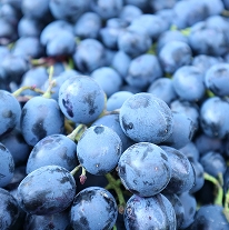 Vynuogių ir alyvuogių polifenoliai